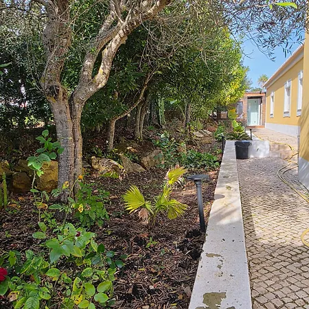 Βίλα Casa Azul Luz